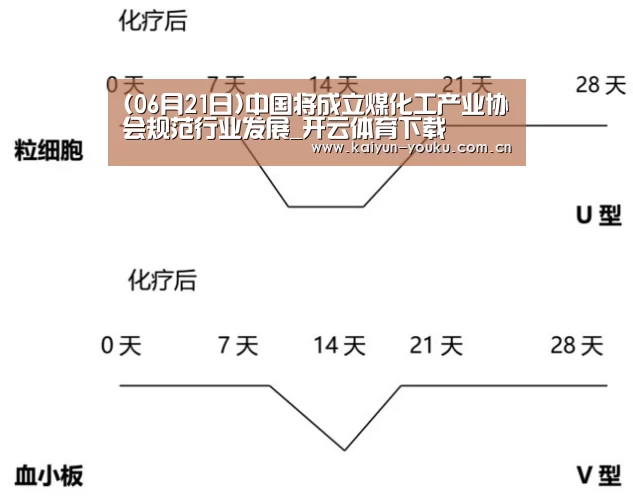 开云体育下载