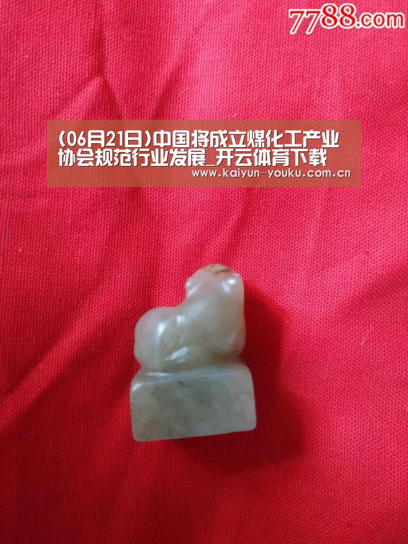 开云App下载